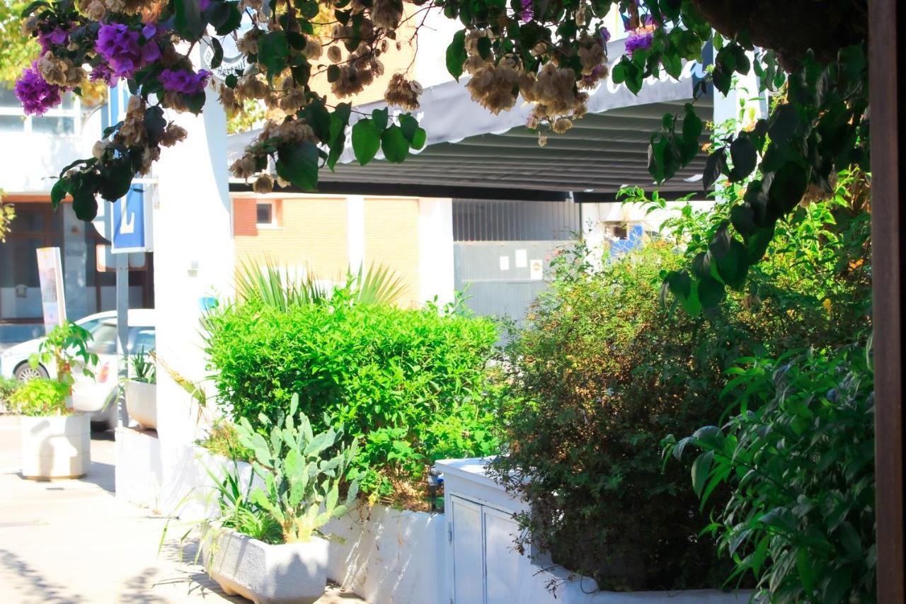 Hotel Patricia ตอร์เรกวาเดียโร ภายนอก รูปภาพ