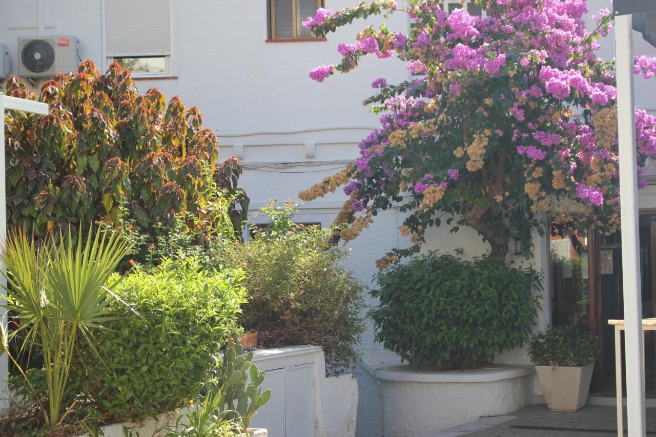 Hotel Patricia ตอร์เรกวาเดียโร ภายนอก รูปภาพ